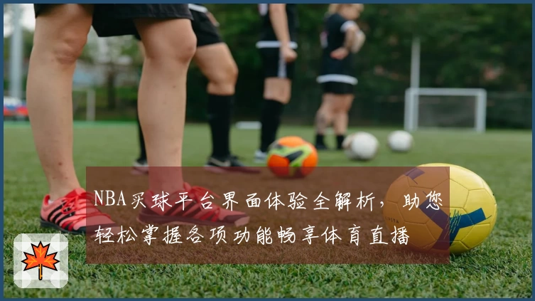 NBA买球平台界面体验全解析，助您轻松掌握各项功能畅享体育直播
