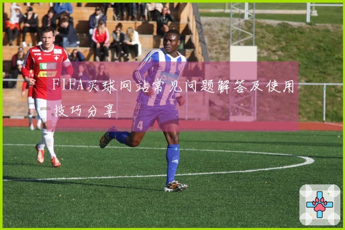 FIFA买球网站常见问题解答及使用技巧分享